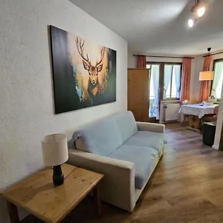 Schwarzwaldglueck Mit Sauna, Tischtennis, Fitness, Stellplaetzen Appartement