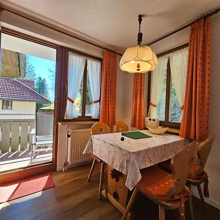 Schwarzwaldglueck Mit Sauna, Tischtennis, Fitness, Stellplaetzen * Todtmoos