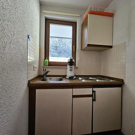Schwarzwaldglueck Mit Sauna, Tischtennis, Fitness, Stellplaetzen Apartamento