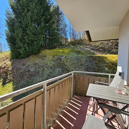 Appartement Schwarzwaldglueck Mit Sauna, Tischtennis, Fitness, Stellplaetzen *