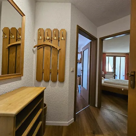Appartement Schwarzwaldglueck Mit Sauna, Tischtennis, Fitness, Stellplaetzen *