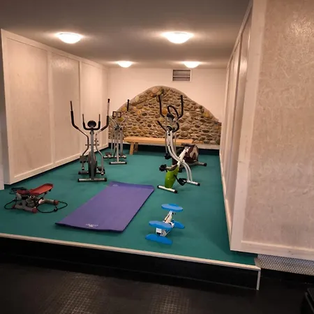 Schwarzwaldglueck Mit Sauna, Tischtennis, Fitness, Stellplaetzen Appartement *