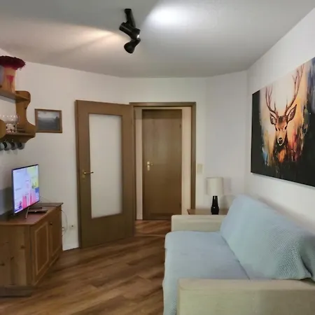 Schwarzwaldglueck Mit Sauna, Tischtennis, Fitness, Stellplaetzen Lägenhet Todtmoos